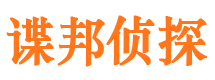 龙文市侦探